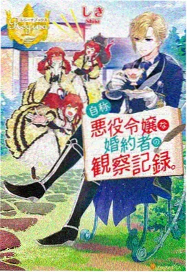 高柳夫人番外剧集